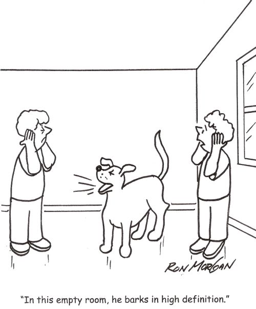 'In this empty room, he barks in high definition.'