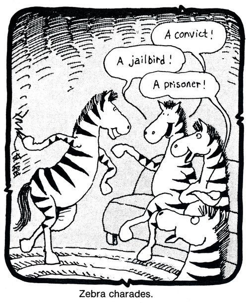Zebra Charades.