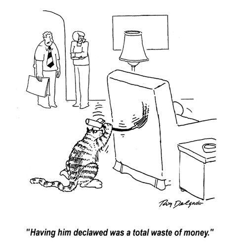 'Having him declawed was a total was a total waste of money.'