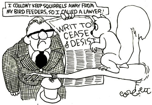 'I couldn't keep squirrels away from my bird feeders, so I called a lawyer!'
