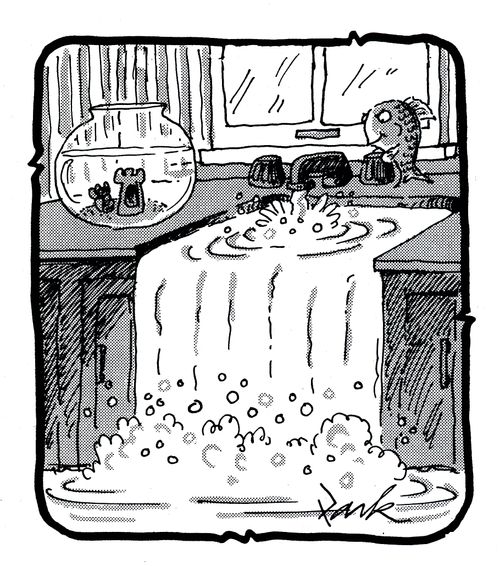 Pet fish flooding the house.