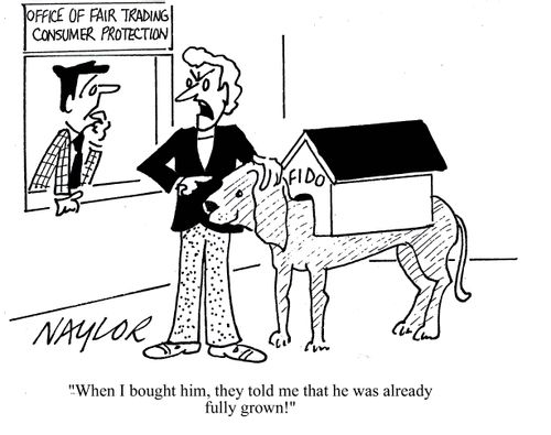 'When I bought him, they told me that he was already fully grown!'