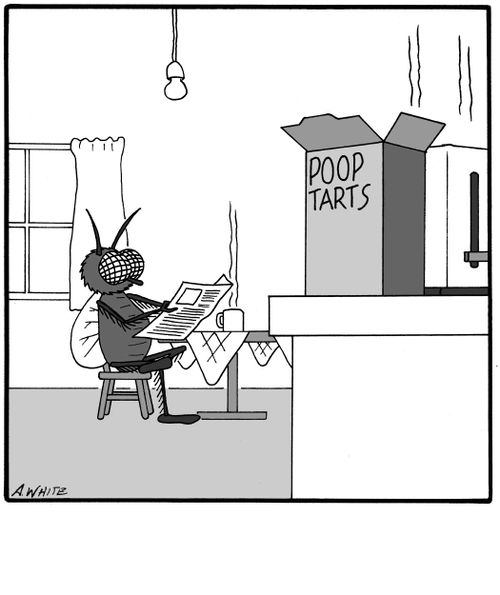 Poop Tarts