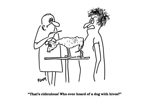 'That's ridiculous!  Who ever heard of a dog with hives?'