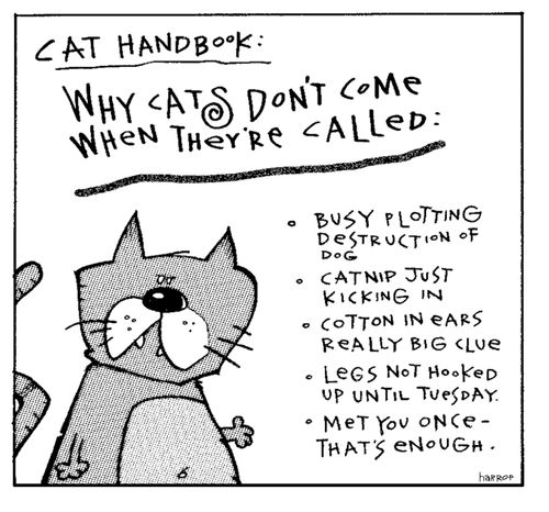 Cat handbook - why they don't come when called.