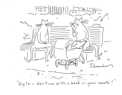 'Kyle, don't run with a beak in your mouth.'