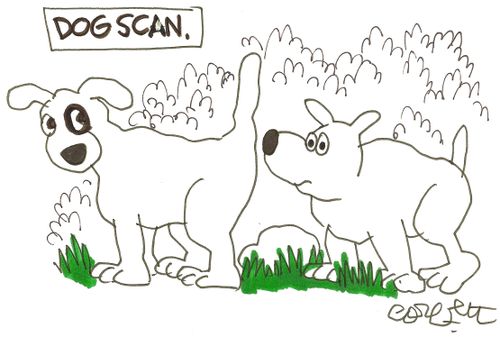 Dog scan.