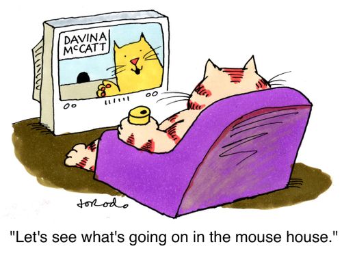 'Let's see what's going on in the mouse house.'