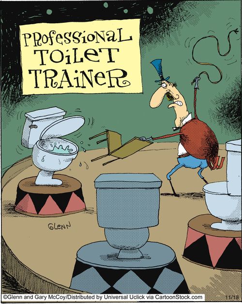 Professional Toilet Trainer. 