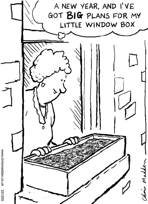 Gardening new year's plans