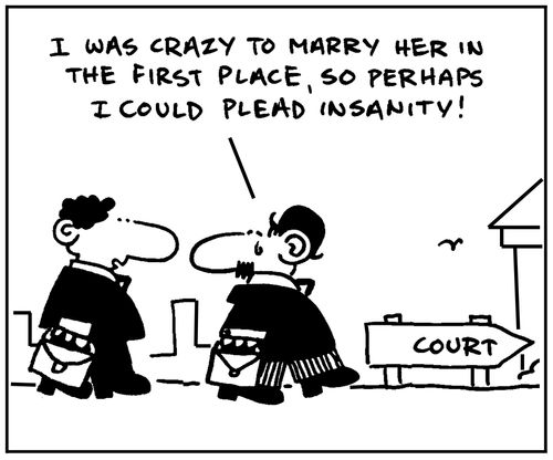 'I was crazy to marry her in the first place, so perhaps I could plead insanity.'