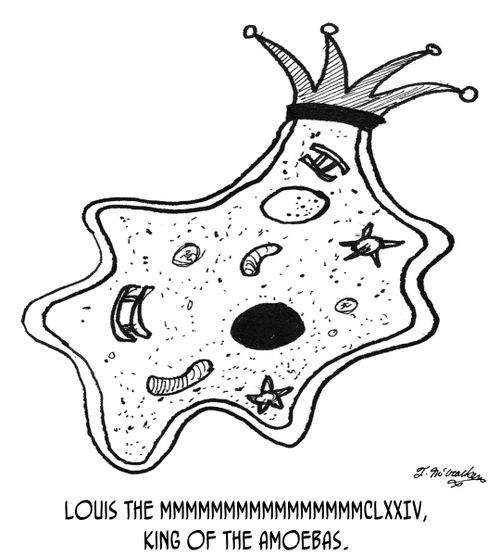 Louis the MMMMMMMMMMMMMMMMCLXXIV, King of the Amoebas.