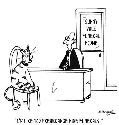 'I'd like to prearrange nine funerals.'
