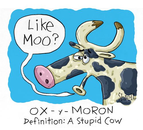 Ox-Y-Moron Definition: A stupid cow.
