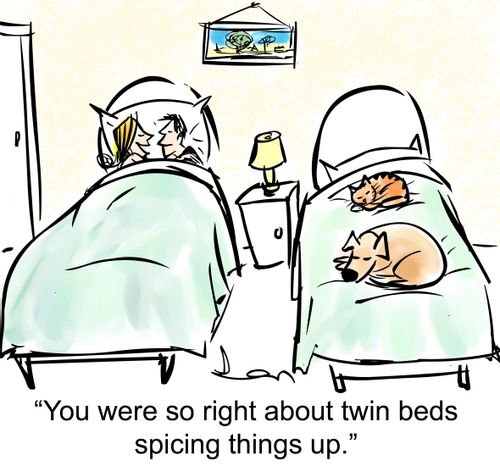 'You were so right about twin beds spicing things up.'