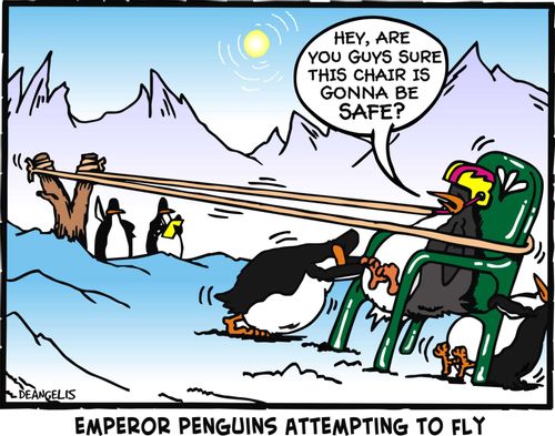 Emperor penguins attempting to fly.
