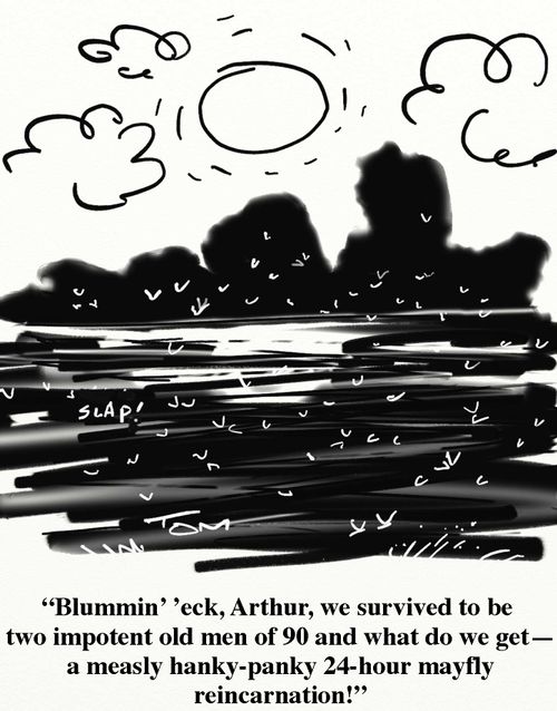 'Blummin' 'eck, Arthur, we survived to be two impotent old men of 90 and what do we get - a measly hanky-panky 24-hour mayfly reincarnation!'