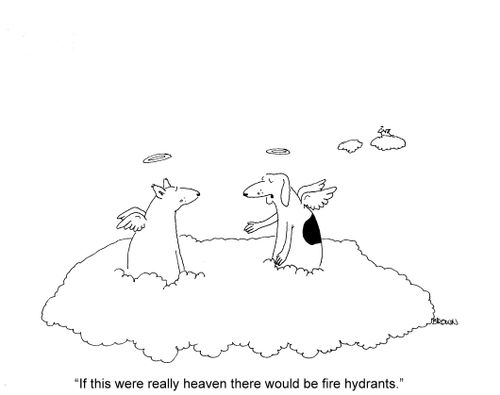 'If this were really heaven there would be fire hydrants.'