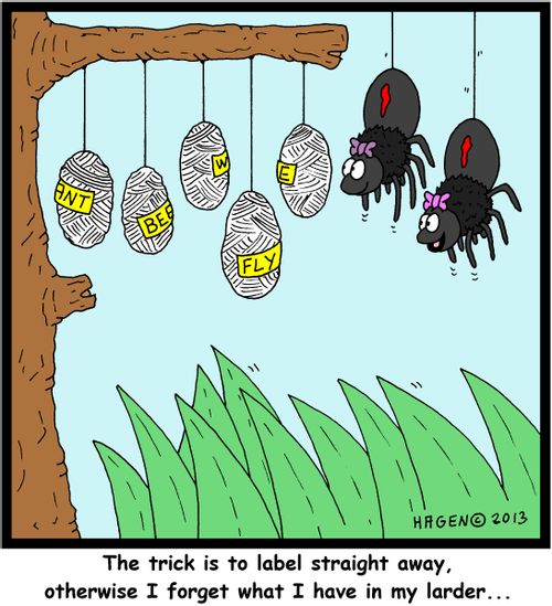 'The trick is to label straight away, otherwise I forget what I have in my larder...'