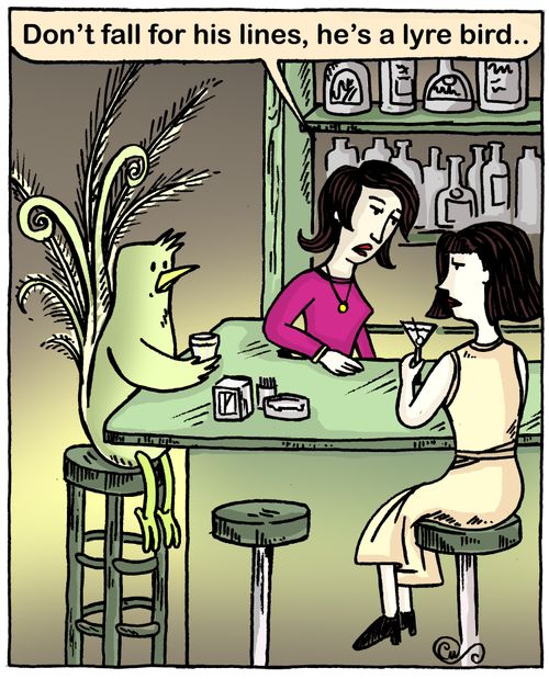 'Don't fall for his lines, he's a lyre bird...'