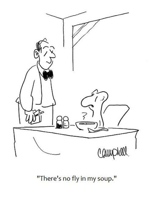 'There's no fly in my soup.'