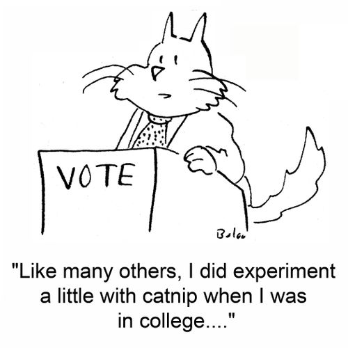 'Like many others, I did experiment a little with catnip when I was in college....'