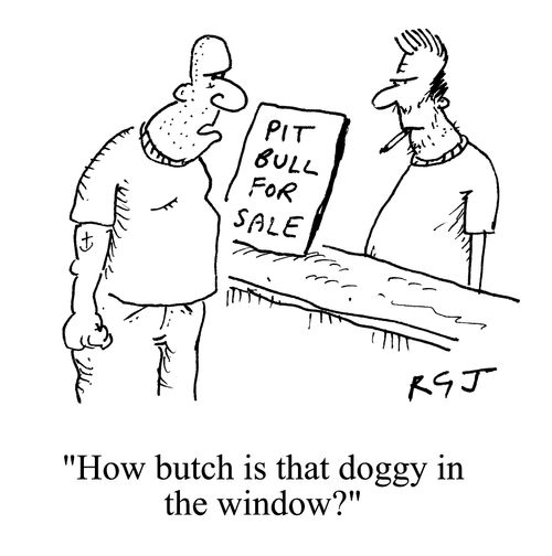 'How butch is that doggy in the window?'