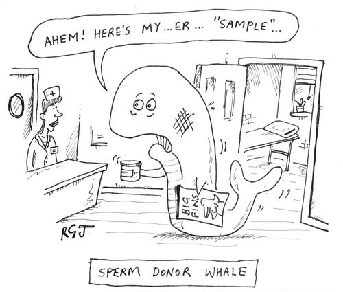'Sperm Donor Whale.'