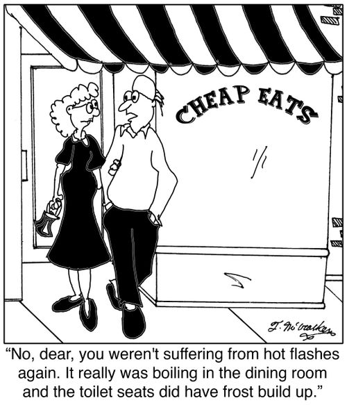 'No, you weren't suffering from hot flashes again, dear. It really was boiling in the dining room and the toilet seats did have frost build up.'