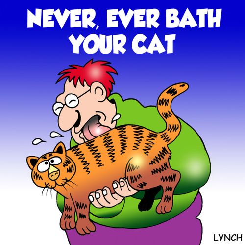 Never bath your cat.