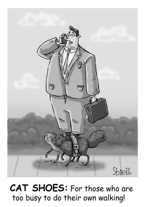 Cat shoes: For those who are too busy to do their own walking.