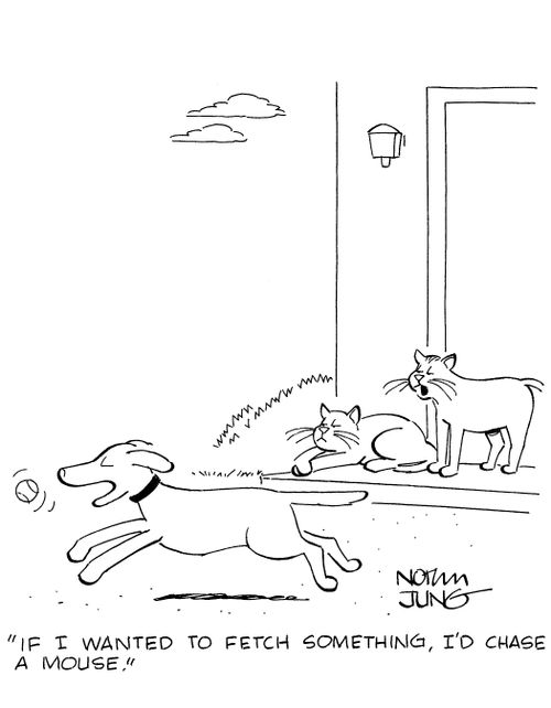 'If I wanted to fetch something, I'd chase a mouse.'