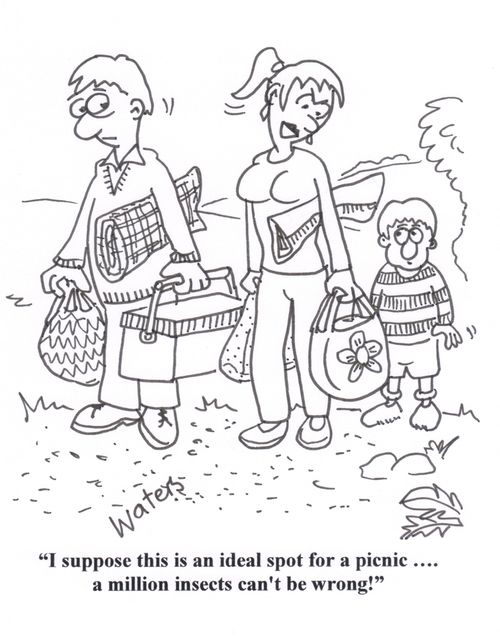 'I suppose this is an ideal spot for a picnic.... a million ants can't be wrong!'