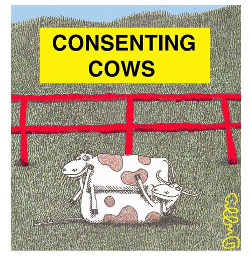 Consenting Cows.