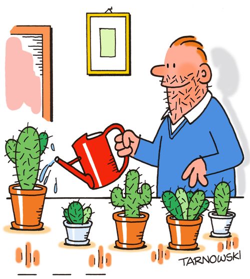 Cactus owner with a spiky beard.