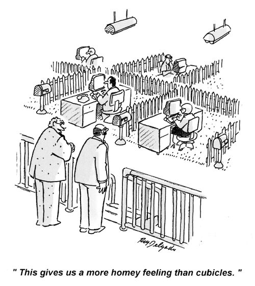 'This gives us a more homely feeling than cubicles.'