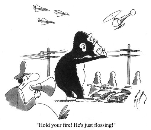 'Hold your fire! He's just flossing!'