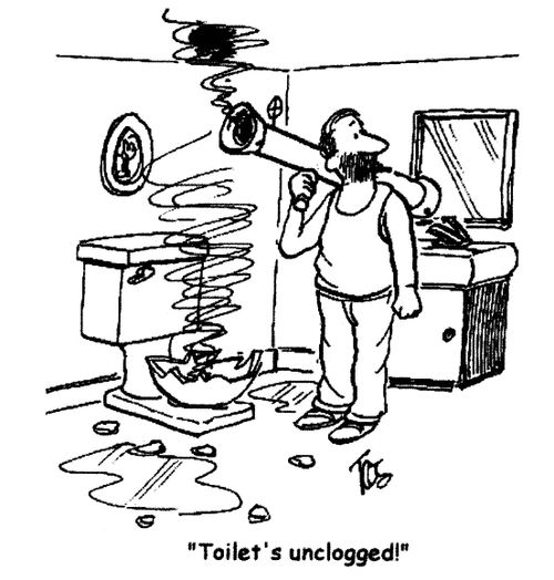 'Toilet's unclogged!'