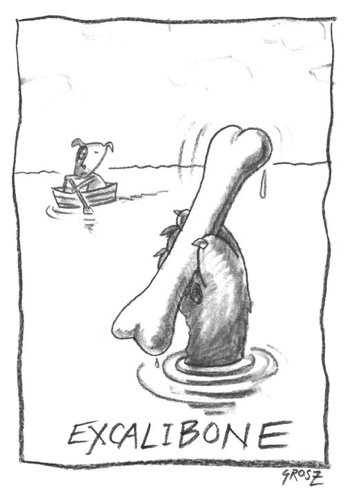 Excalibone