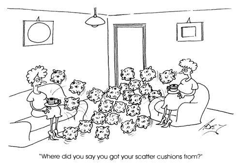 "Where did you say you got your scatter cushions from?"