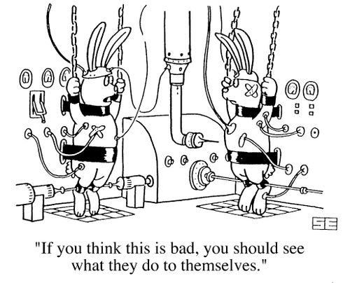 "If you think this is bad, you should see what they do to themselves"