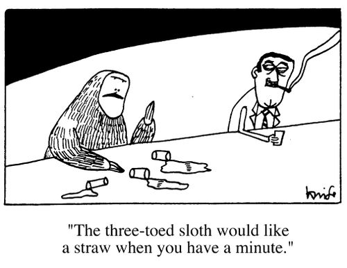 "The three toed sloth would like a straw when you have a minute."