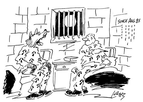 Werewolf Cellmate