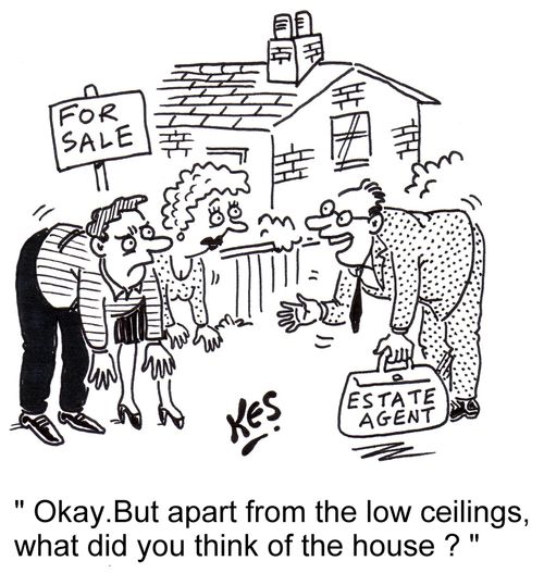 'Okay. But apart from the low ceilings, what did you think of the house?'
