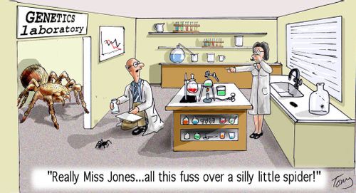 'Reallly Miss Jones...all this fuss over a silly little spider!'