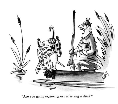 'Are you going exploring or retrieving a duck?'