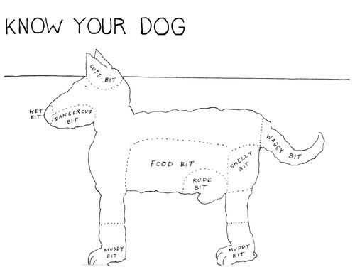 Know your dog.