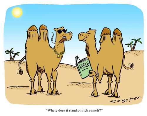 Camel with sunglasses, cigar and gold chain says to camel reading Bible: 'So where does it stand on rich camels?'