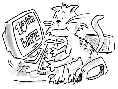 Cat Playing 10th Life.