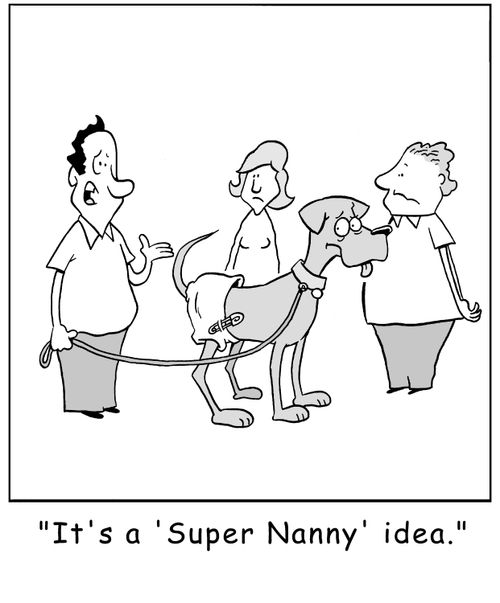 'It's a 'Super Nanny' idea.'
